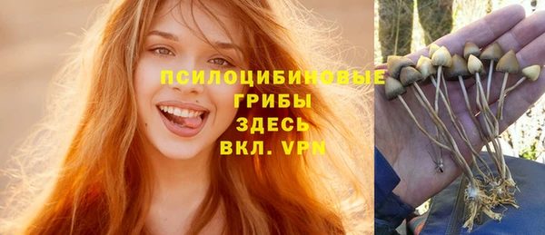 spice Армянск