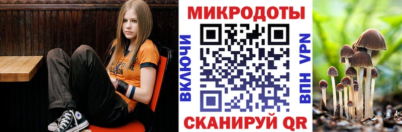 сайты даркнета наркотические препараты  Багратионовск  Псилоцибиновые грибы MAGIC MUSHROOMS 
